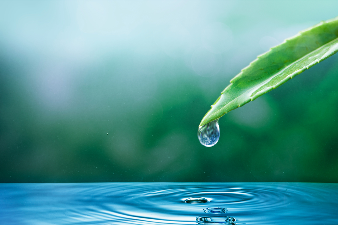 ecosystem-water-drop-nature-background-earth-day-campaign 1drip